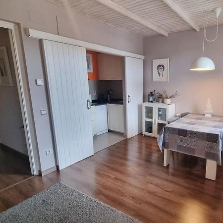 Apartment Sant Francesc Olot Exterior foto