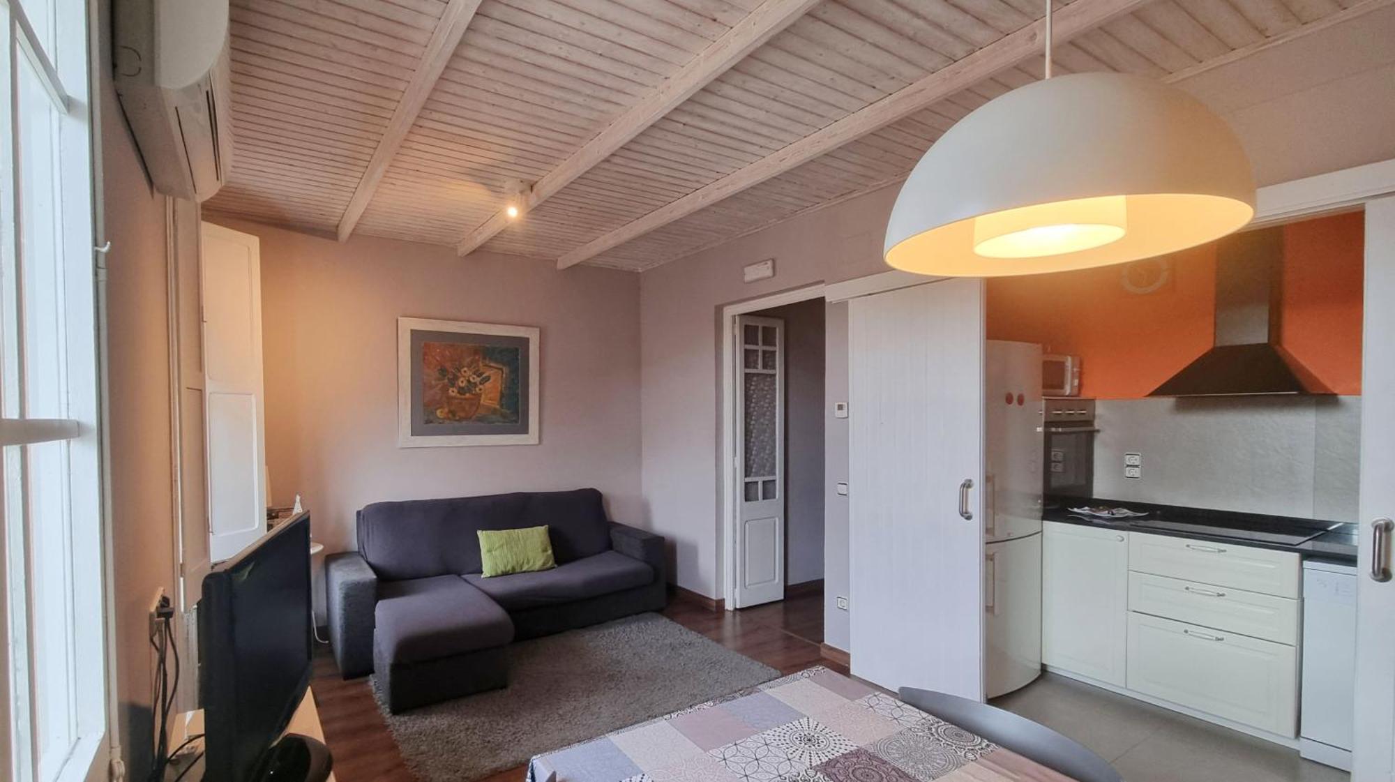 Apartment Sant Francesc Olot Exterior foto